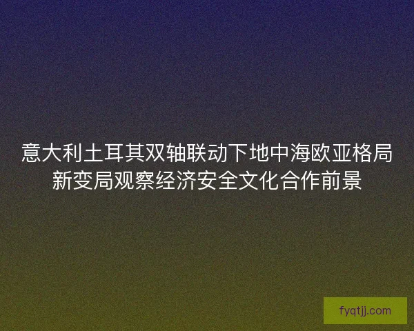 意大利土耳其双轴联动下地中海欧亚格局新变局观察经济安全文化合作前景