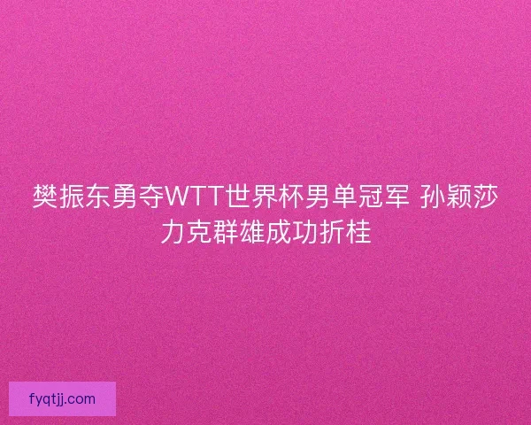 樊振东勇夺WTT世界杯男单冠军 孙颖莎力克群雄成功折桂